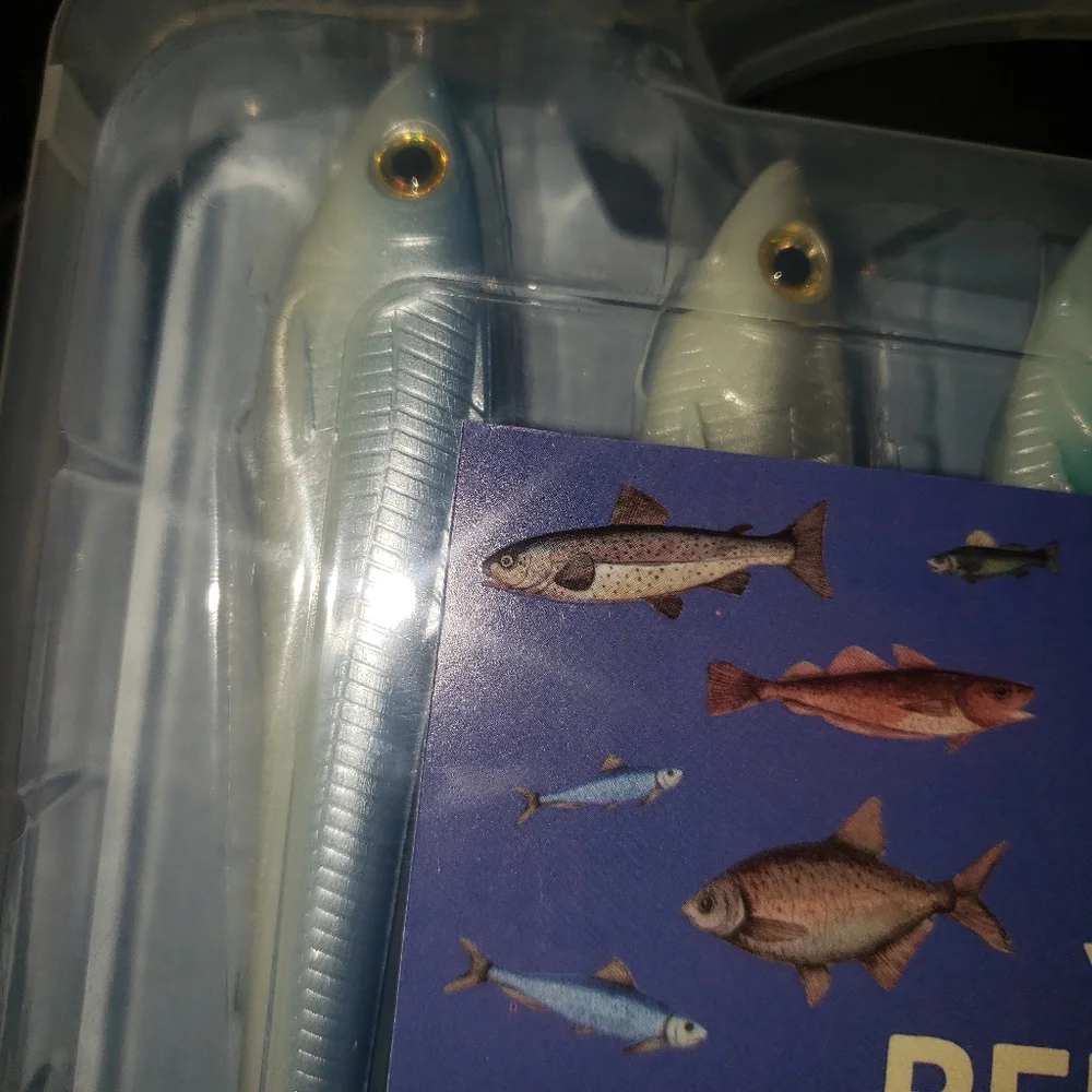 Fish Pen Set - Multicolor